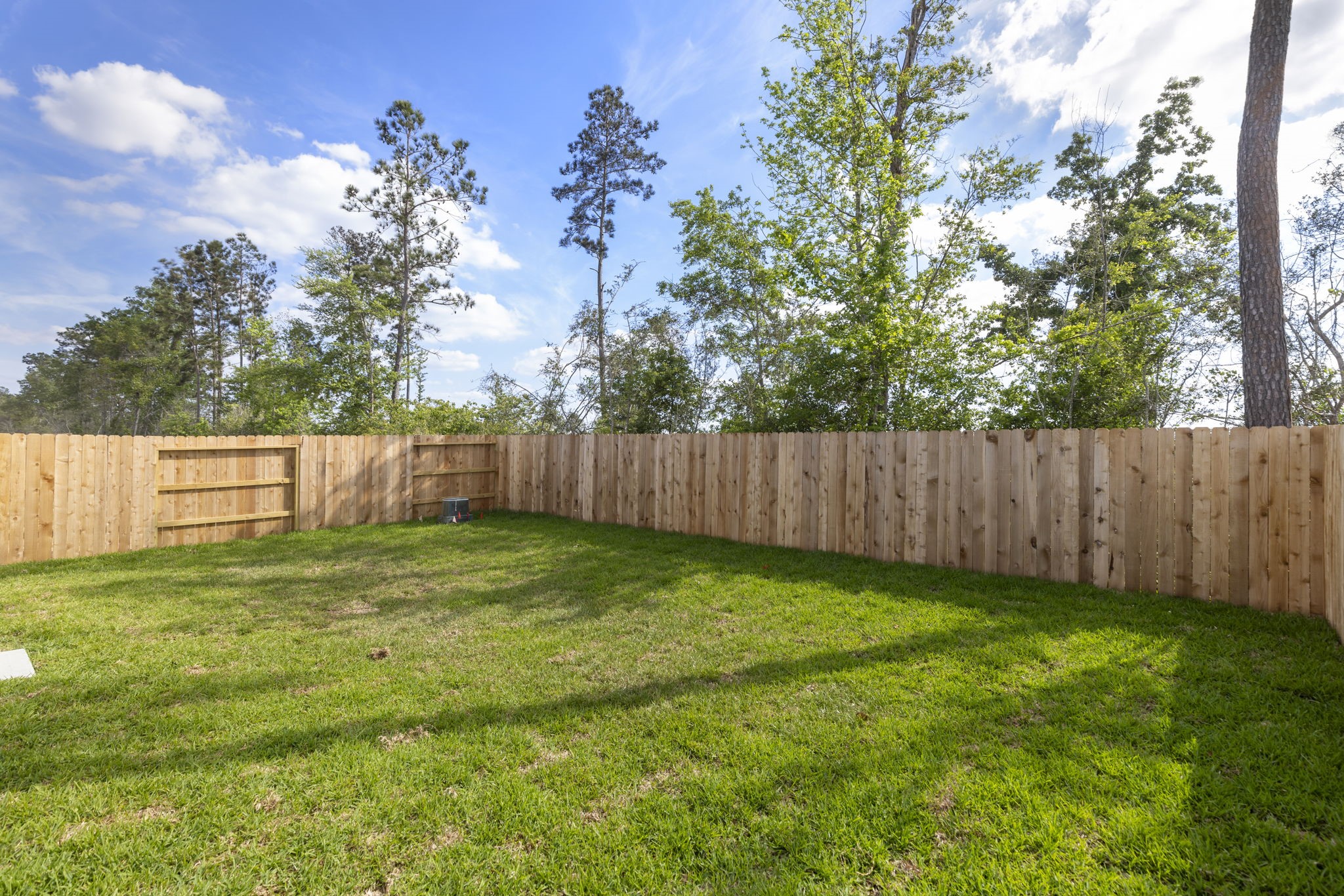 490 Southern Magnolia Way Magnolia, TX 77354 - Photo 23 of 25 a view of a backyard with green space