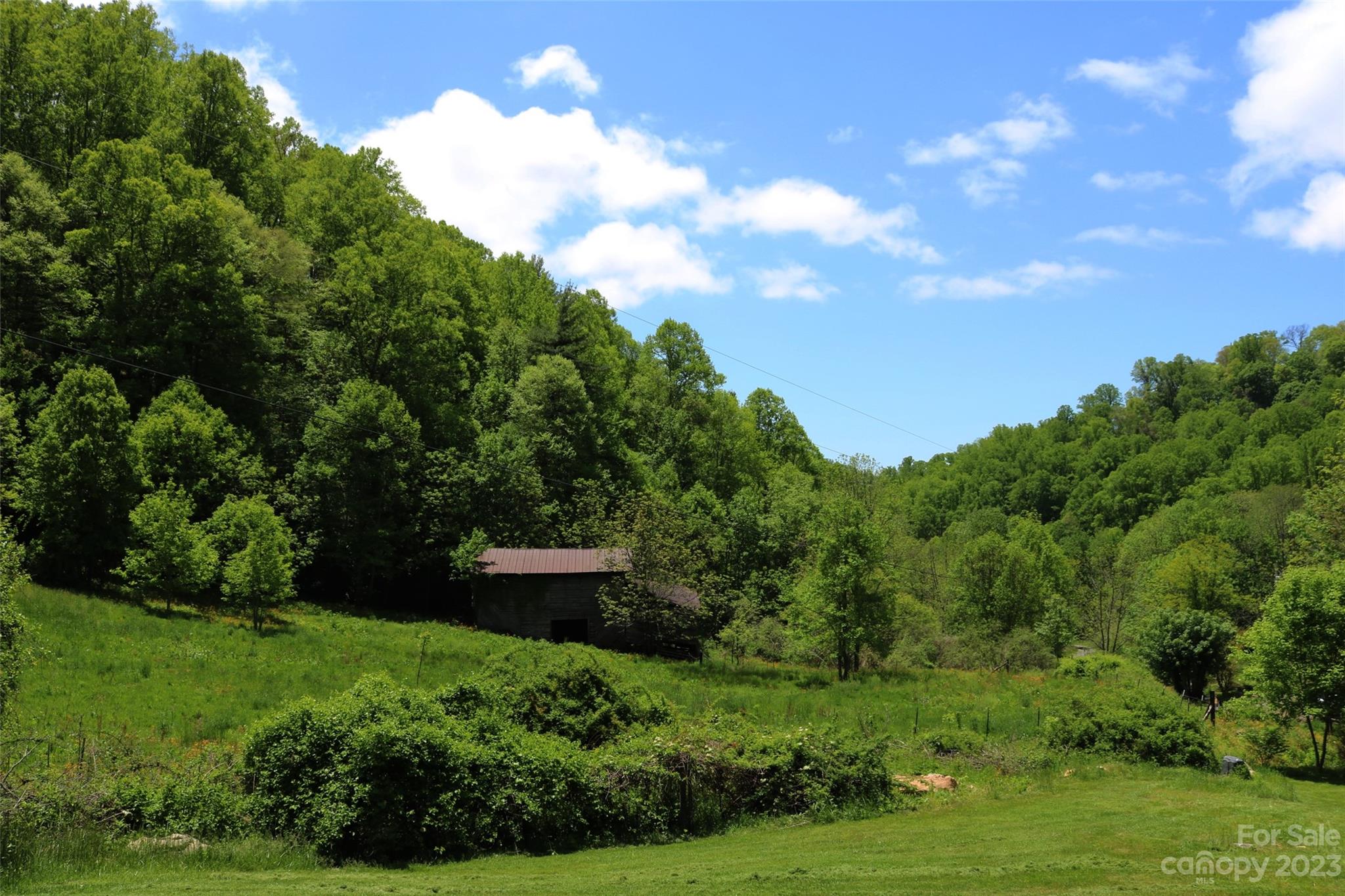 164 Rabbit Run Marshall, NC 28753 - Photo 20 of 27 a view of a garden