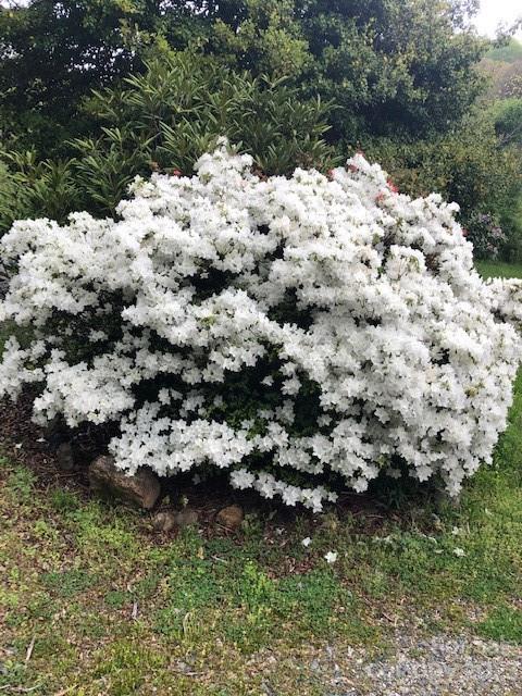 164 Rabbit Run Marshall, NC 28753 - Photo 23 of 27