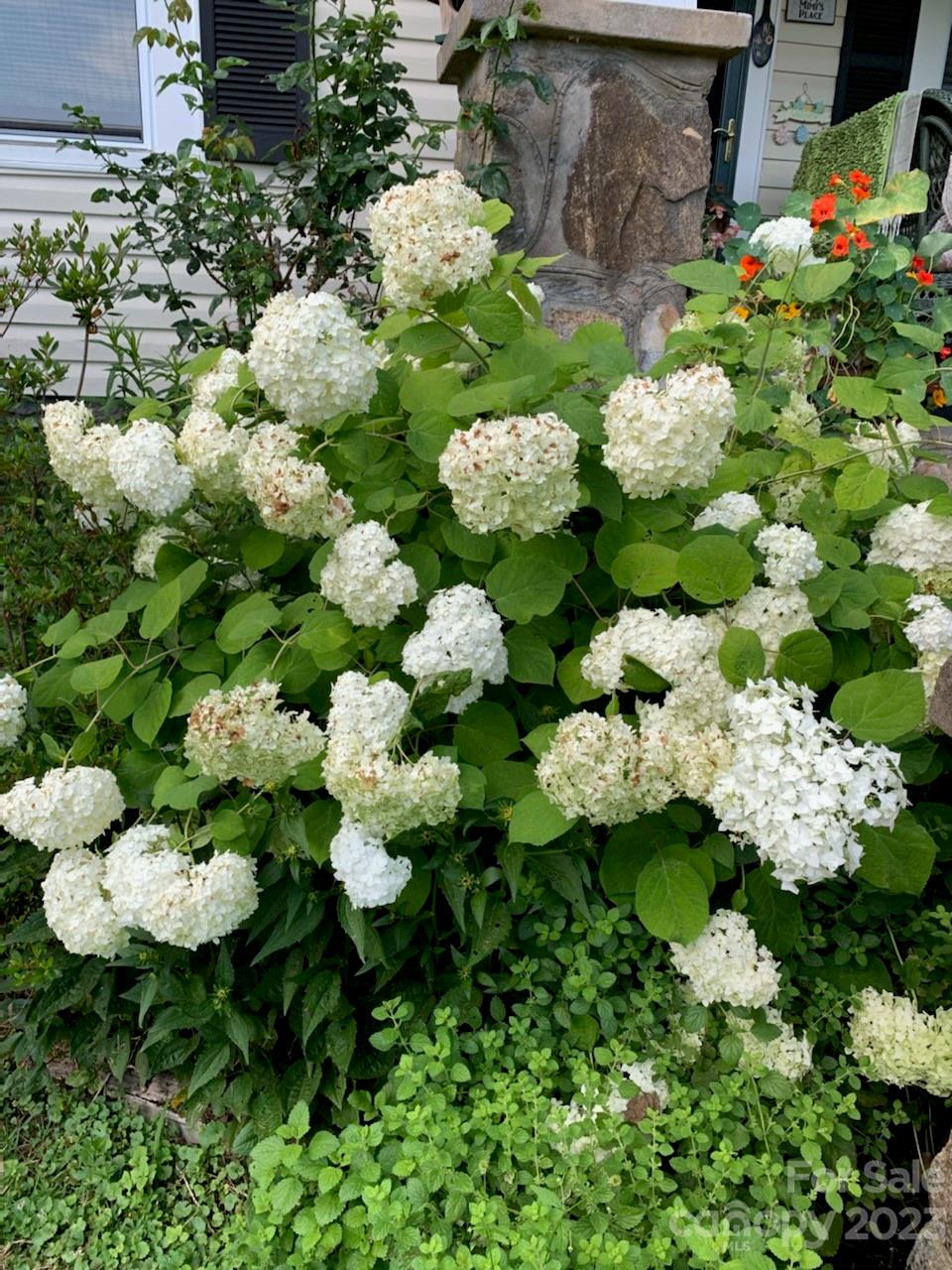 164 Rabbit Run Marshall, NC 28753 - Photo 26 of 27