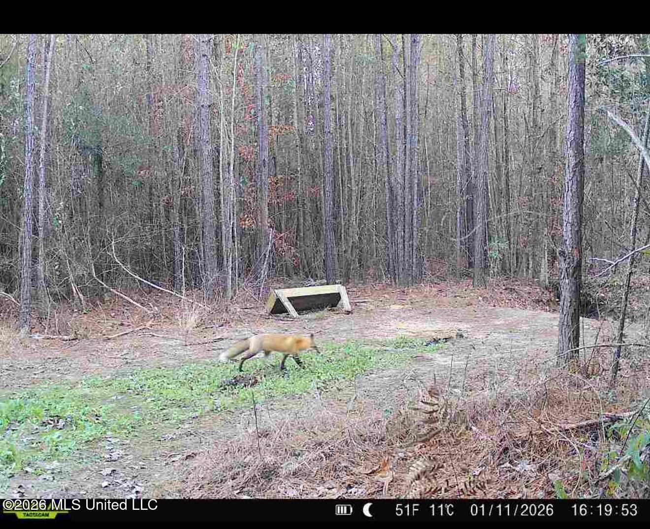 115 Tom Calhoun Road Mendenhall, MS 39114 - Photo 30 of 31 IMG_2679