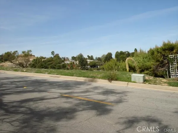 a view of a city street view with tall trees