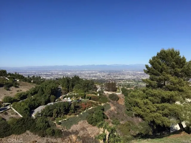 a view of a city with lush green forest