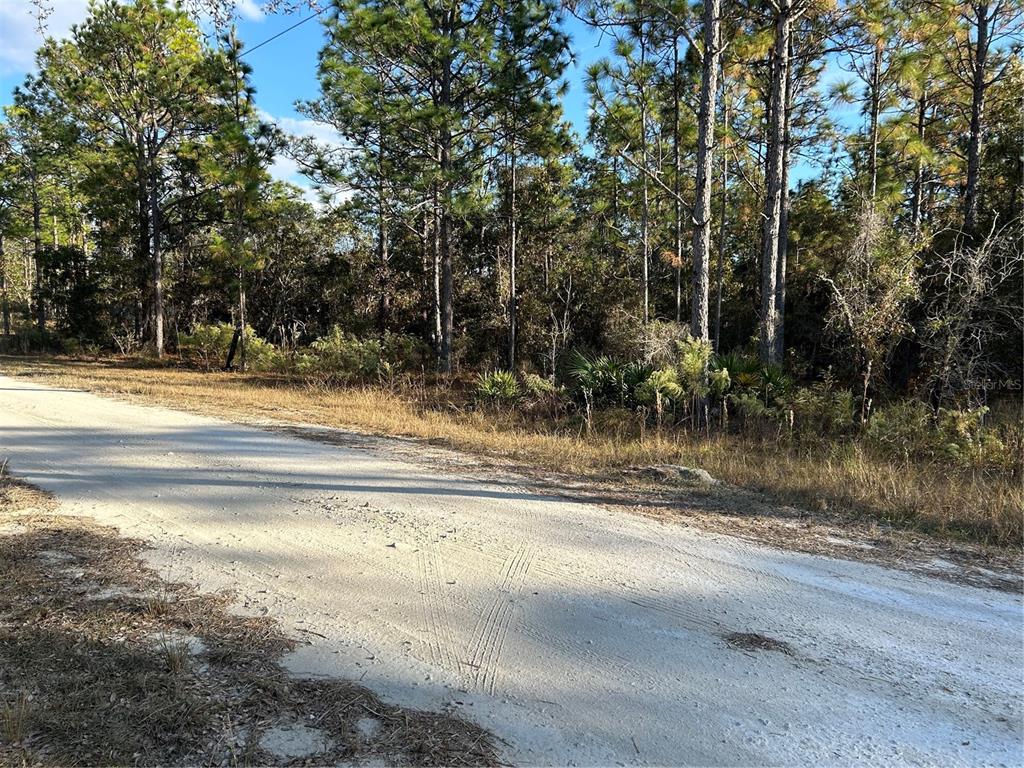 12076 Raschke Run Weeki Wachee, FL 34614 - Photo 1 of 1 Gallery Image 1