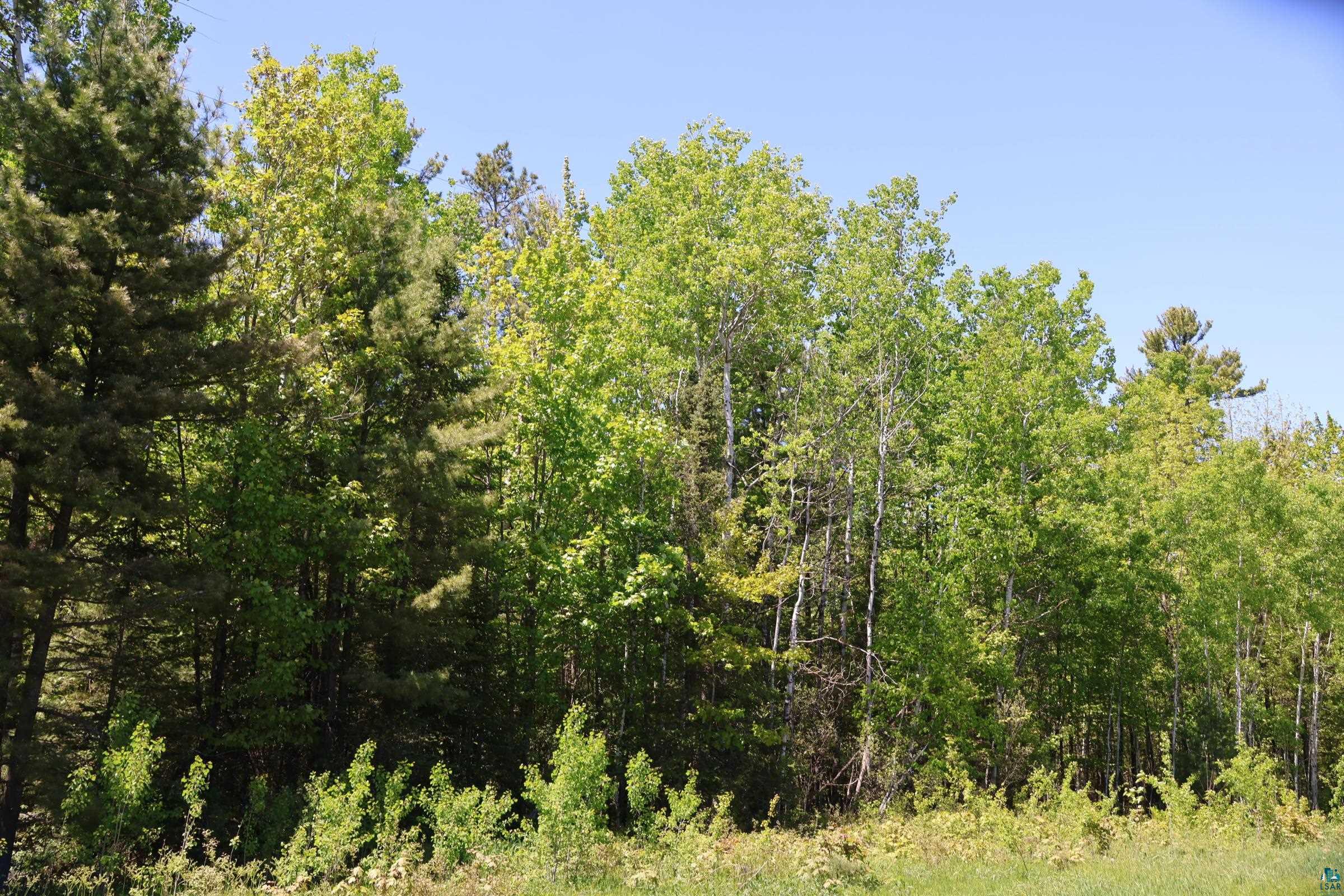 30-xxx Brevak Road Washburn, WI 54891 - Photo 47 of 50