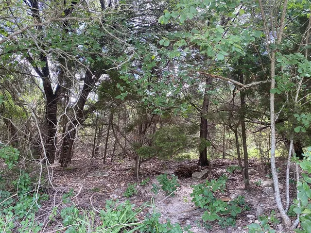 $75,000 | 1032 Tx-p7 Meridian Tx 76665, Meridian, TX 76665