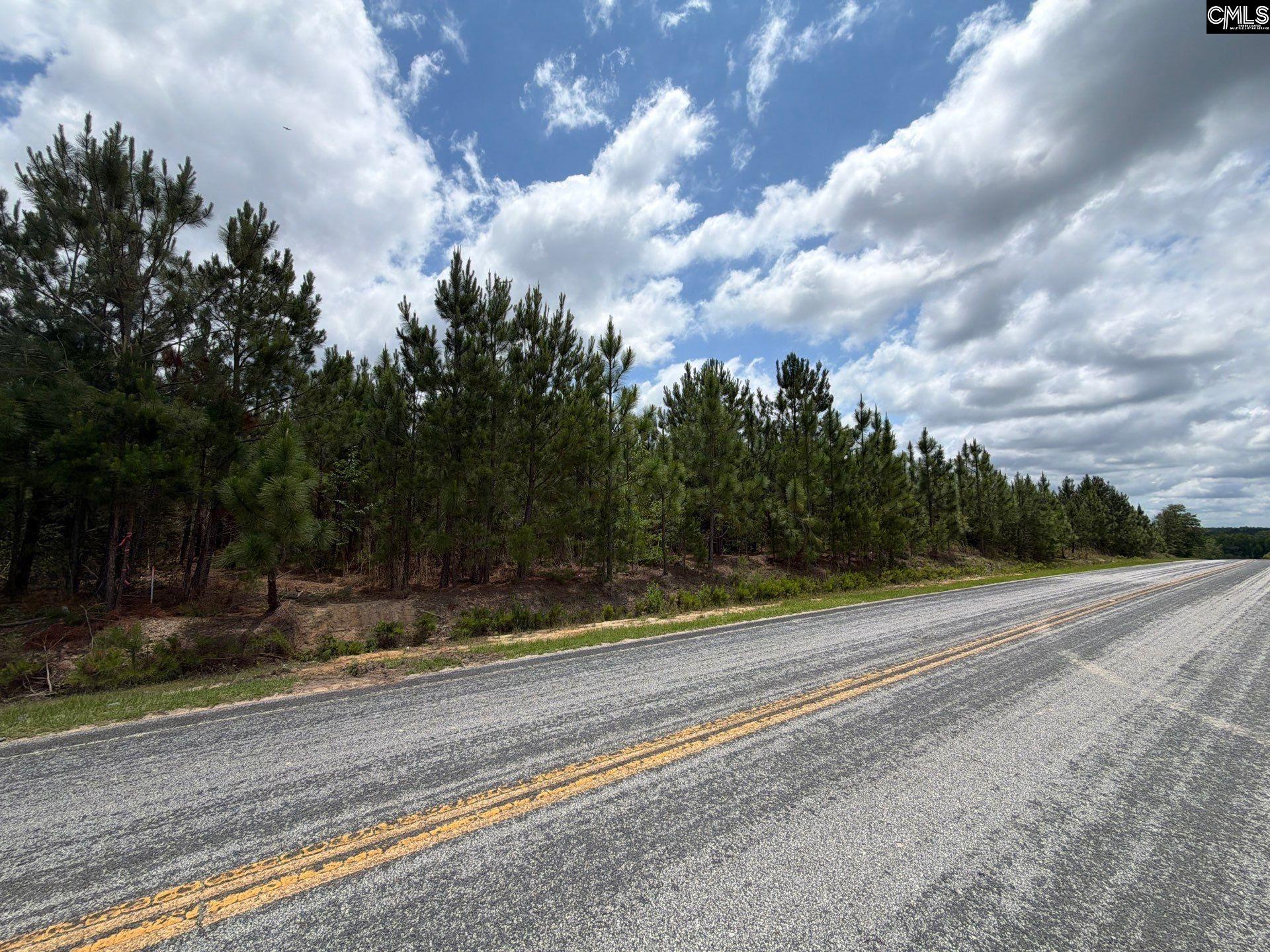 5 State Rd S-28-31 Road Cheraw, SC 29520 - Photo 1 of 7 Gallery Image 1