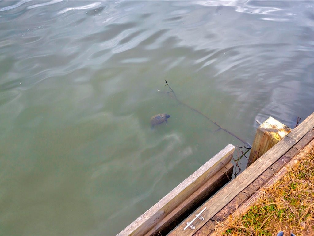 412 Ridge Trail Trinity, TX 75862 - Photo 38 of 39 a close up of a bathroom