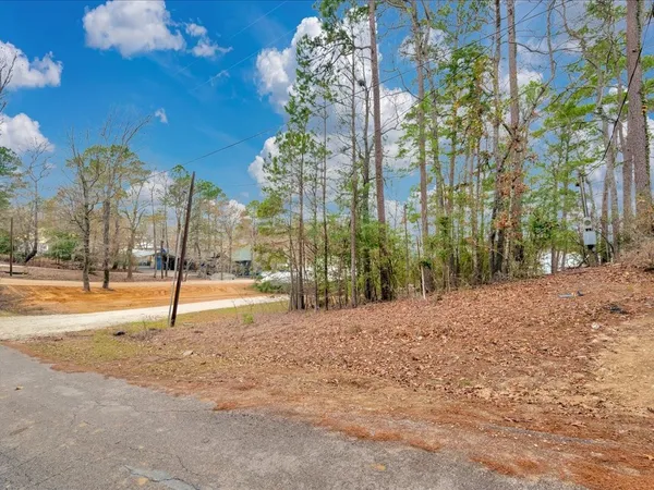 a house with trees in front of it