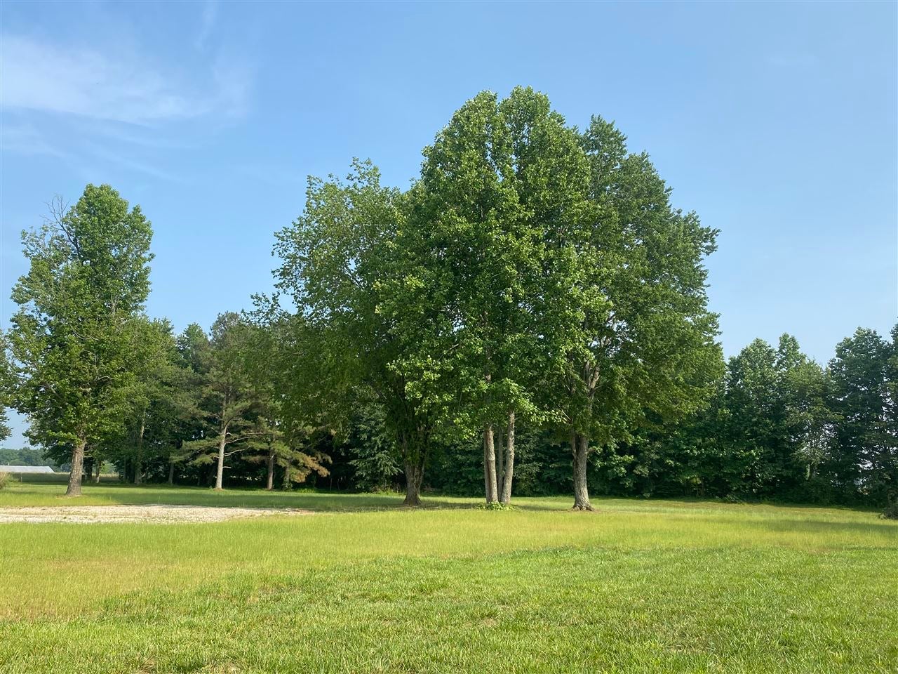 Lot 0 New Grove Road Smiths Grove, KY 42171 - Photo 1 of 1 Gallery Image 1