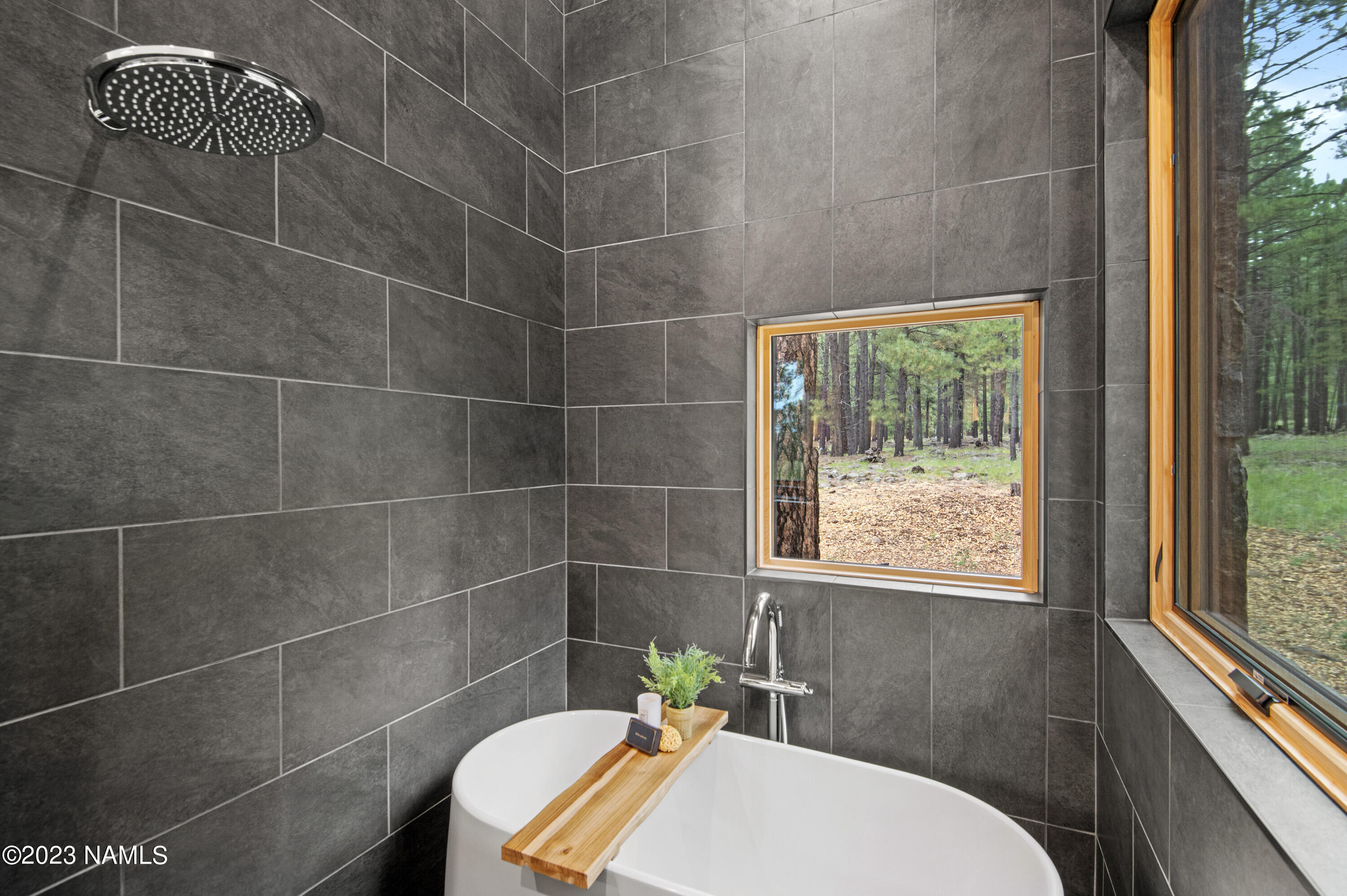 9390 North Snow Bowl Ranch Road Flagstaff, AZ 86001 - Photo 16 of 35 Primary Bath wet room 1