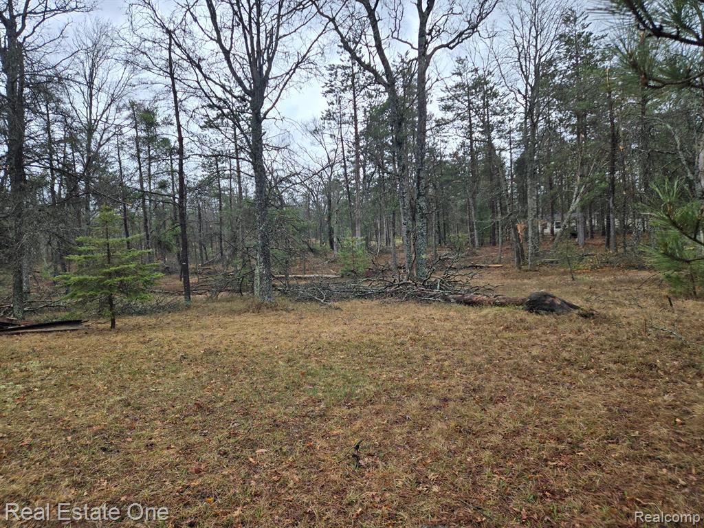3774 South Stephan Bridge Road Grayling, MI 49738 - Photo 5 of 26 Gallery Image 5