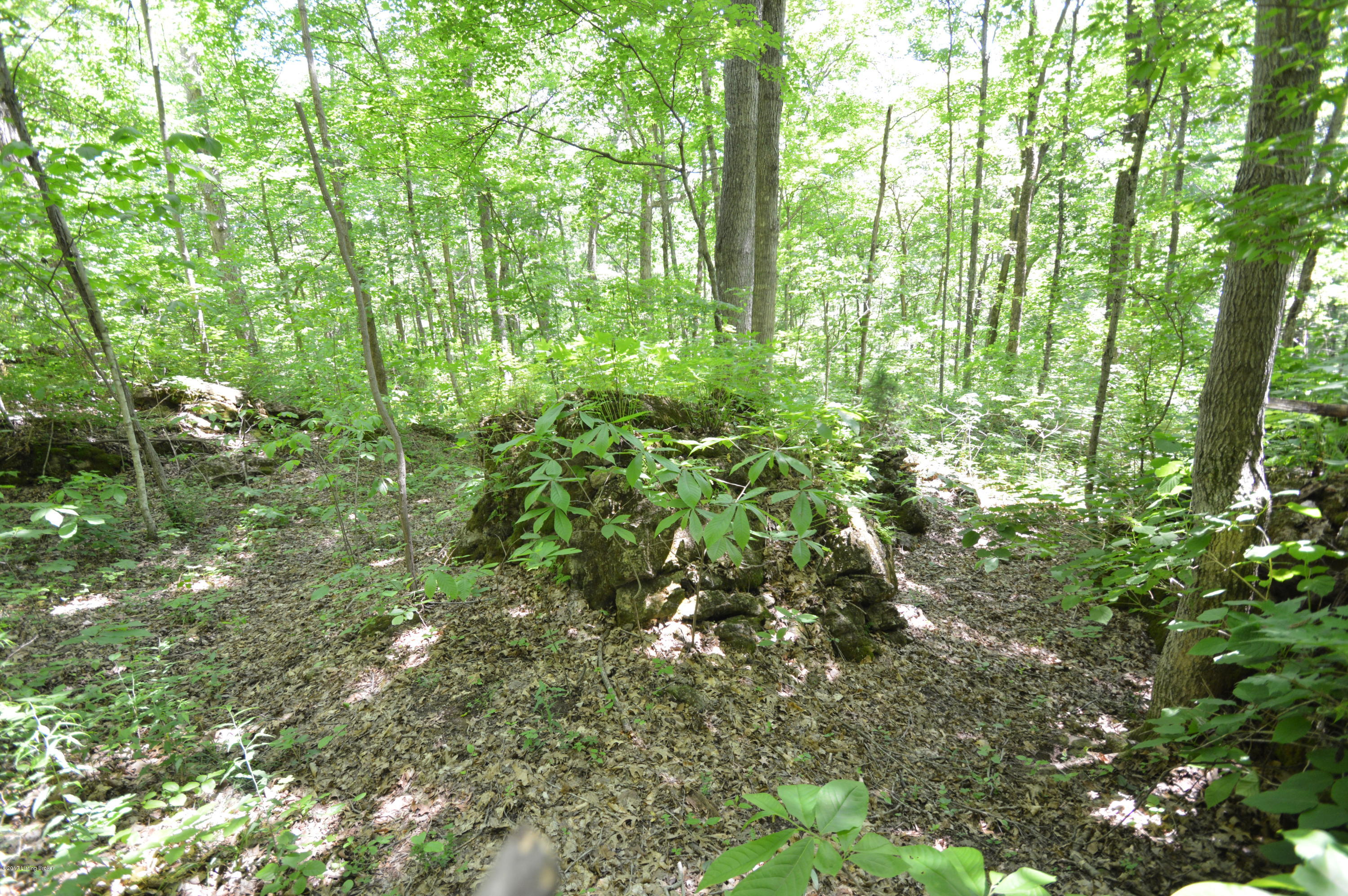 2795 Zoneton Road Shepherdsville, KY 40165 - Photo 89 of 105 DSC_1284