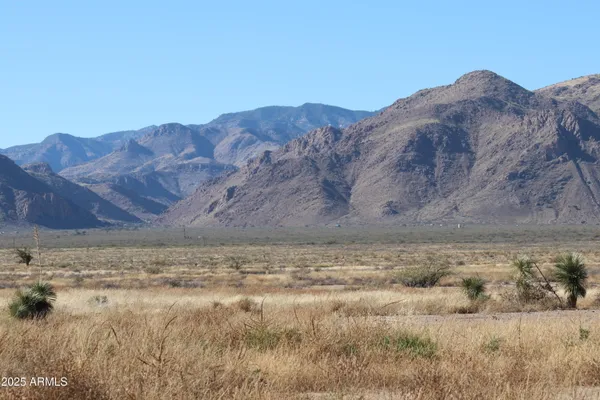 a view of a mountain in the distance