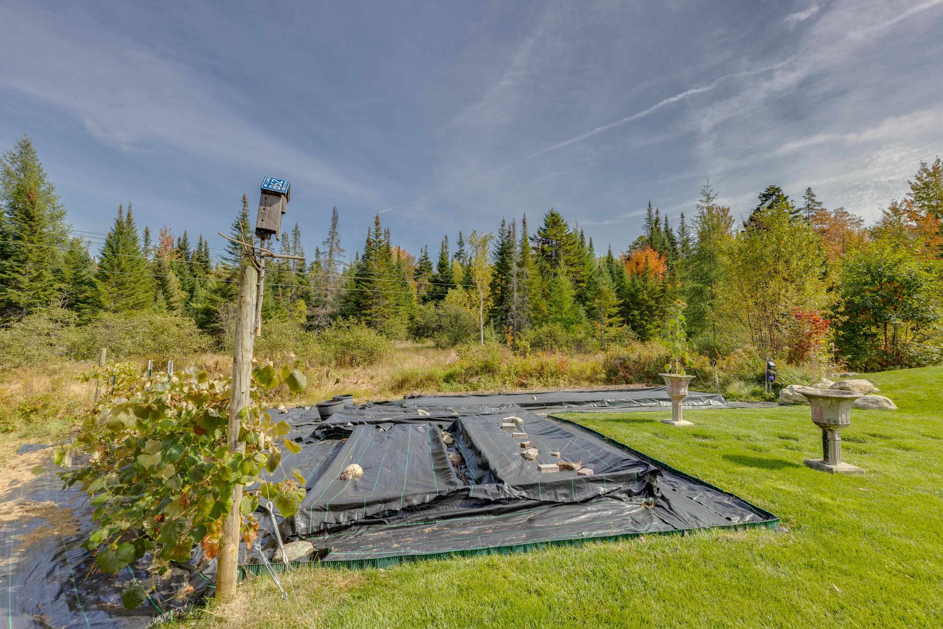 79 Nason Road Sugar Hill, NH 03586 - Photo 6 of 60