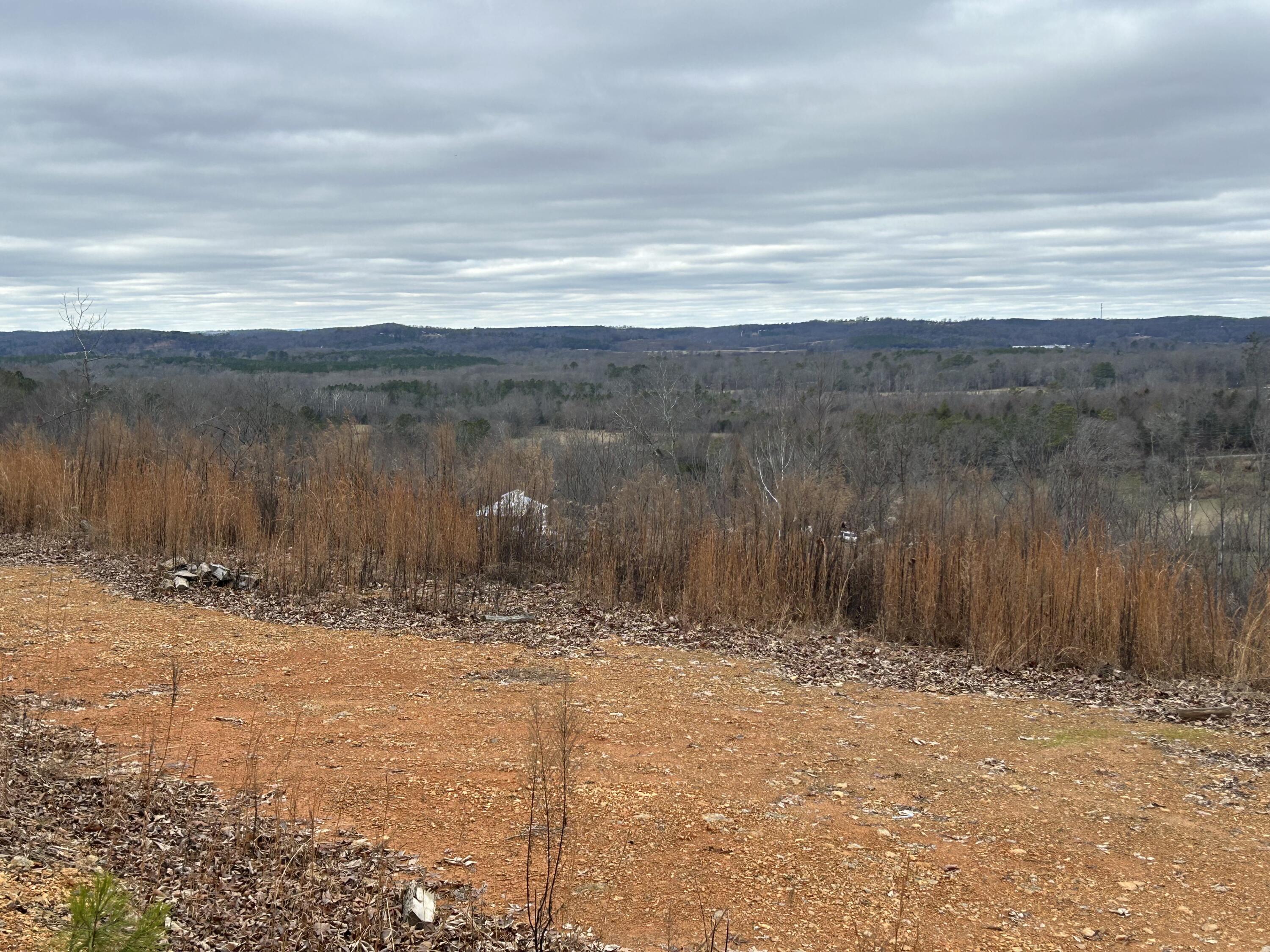 0 East Emerson Road Cohutta, GA 30710 - Photo 5 of 19 IMG_1098