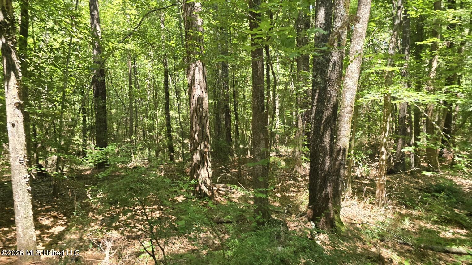 3995 Choctaw Road Brookhaven, MS 39601 - Photo 29 of 73 20260709_114217