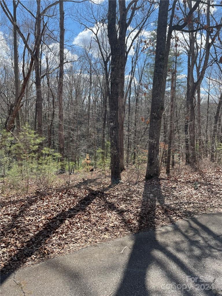 0 Renard Road, Unit 4 Tryon, NC 28782 - Photo 2 of 3 a backyard of a house with lots of green space