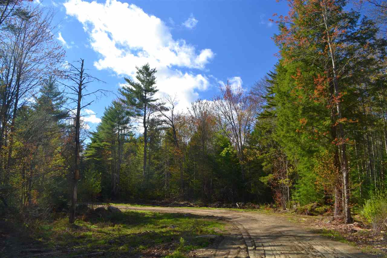 238 Wiggin Road Danbury, NH 03230 - Photo 1 of 13