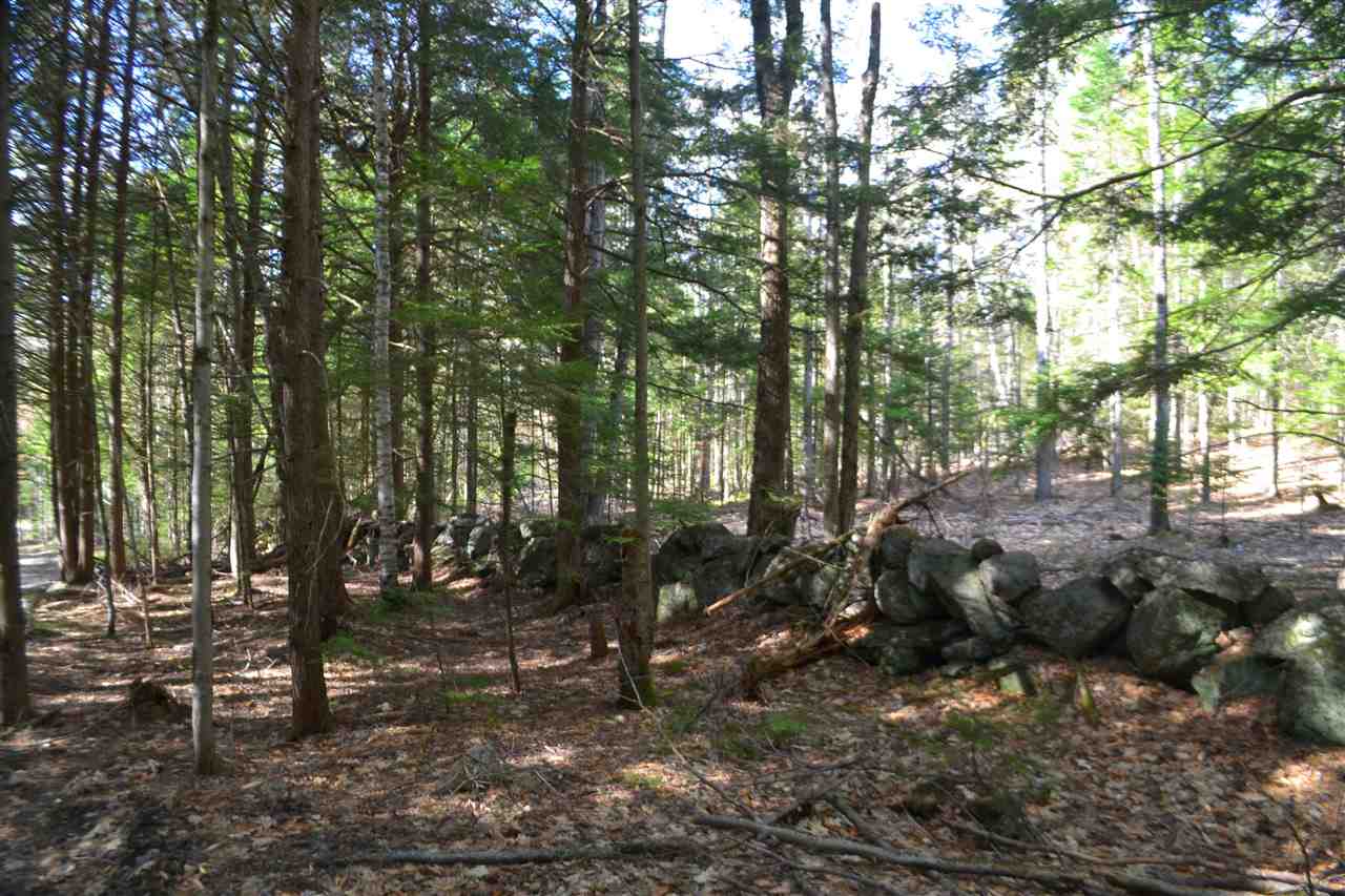 238 Wiggin Road Danbury, NH 03230 - Photo 11 of 13