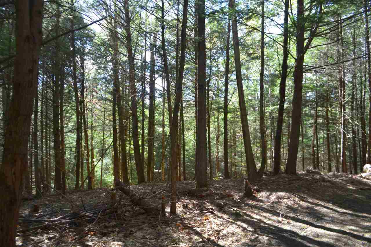 238 Wiggin Road Danbury, NH 03230 - Photo 12 of 13