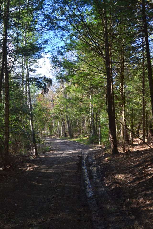 238 Wiggin Road Danbury, NH 03230 - Photo 13 of 13