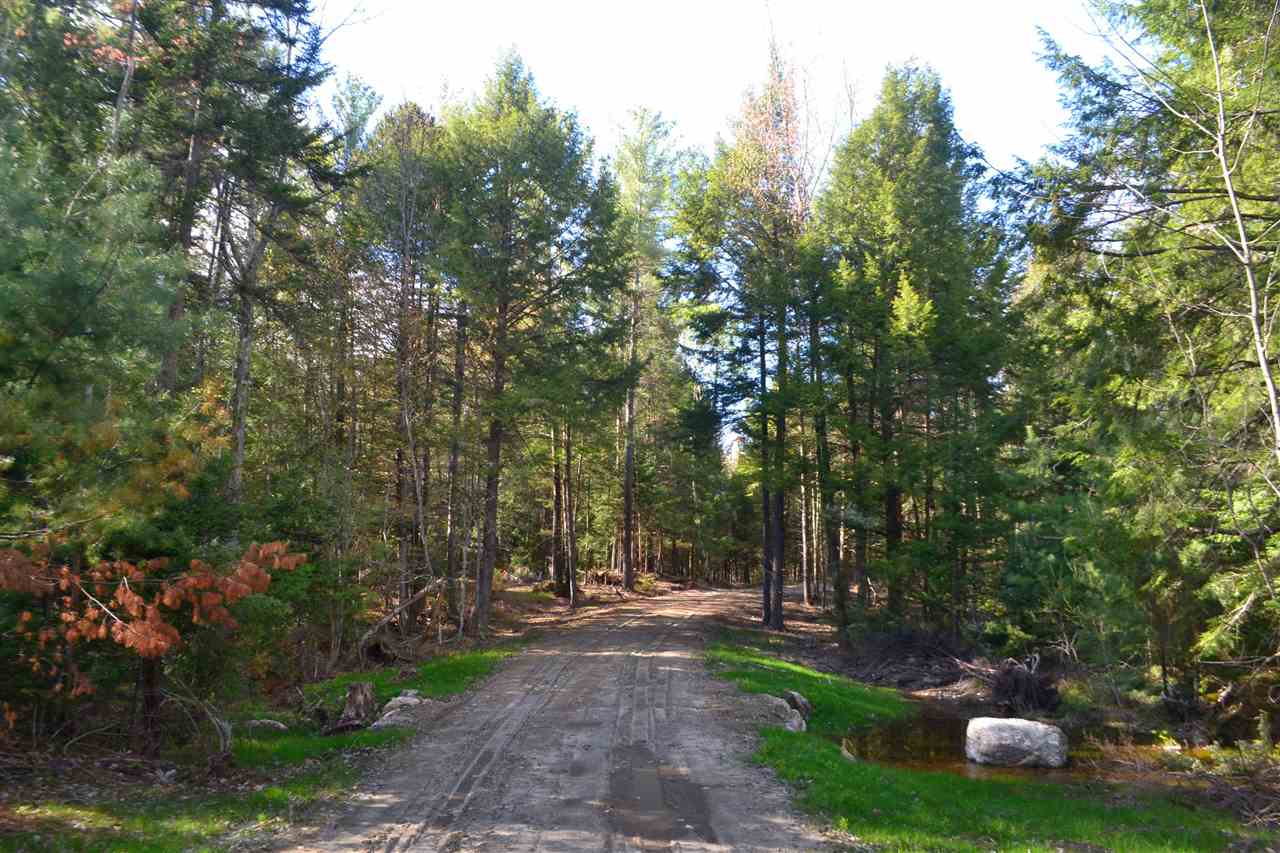 238 Wiggin Road Danbury, NH 03230 - Photo 3 of 13