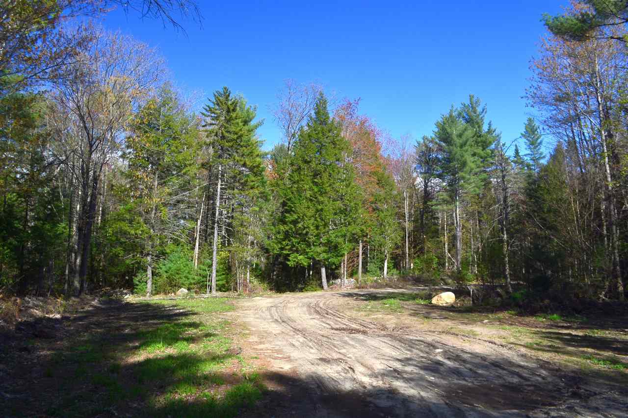 238 Wiggin Road Danbury, NH 03230 - Photo 4 of 13
