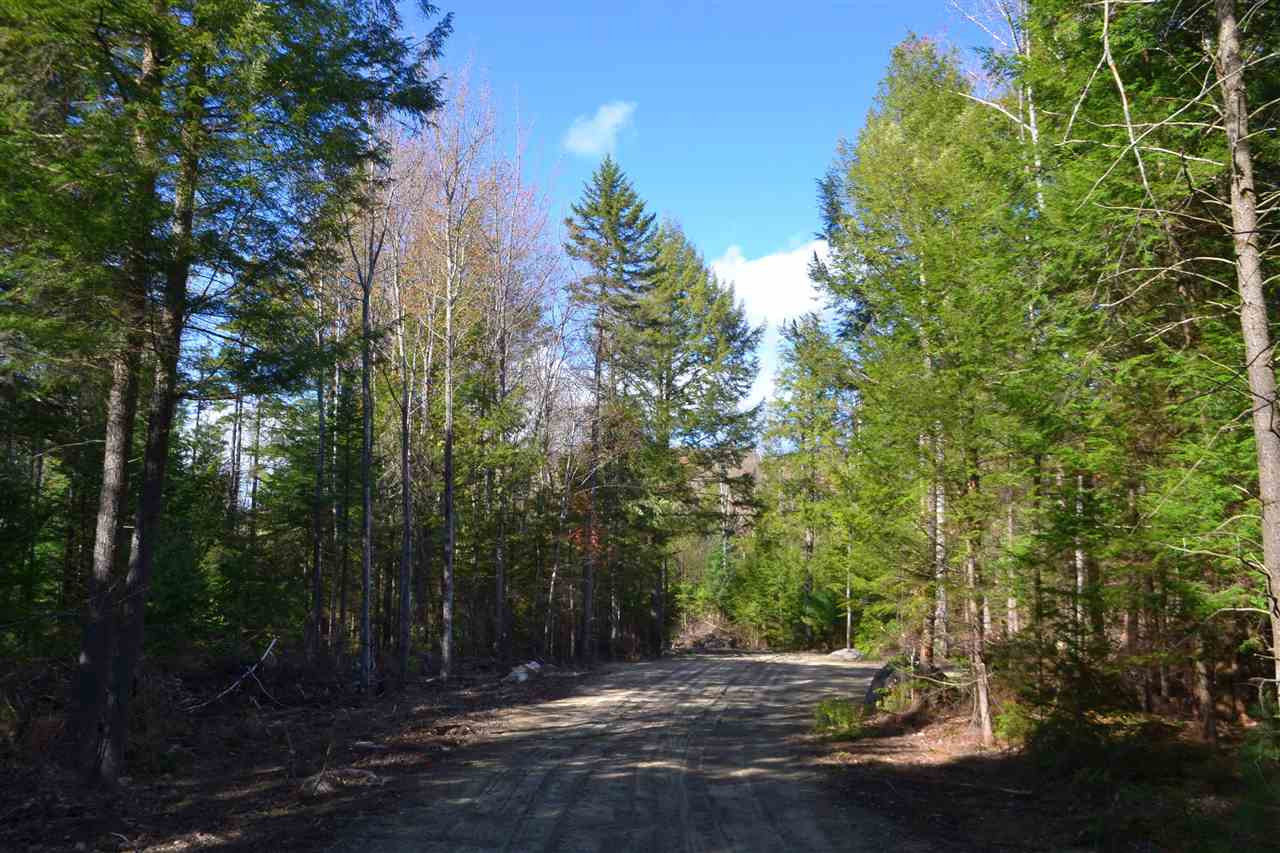 238 Wiggin Road Danbury, NH 03230 - Photo 7 of 13