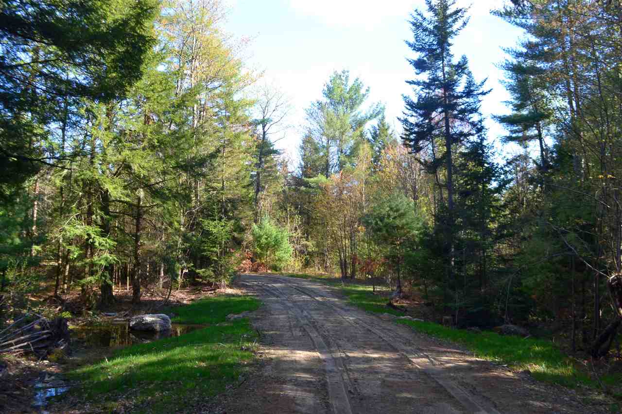 238 Wiggin Road Danbury, NH 03230 - Photo 10 of 13