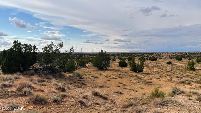 Lot 32 Snowflake Ranch Snowflake, AZ 85937 - Photo 1 of 5