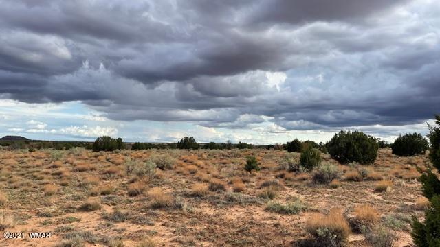Lot 32 Snowflake Ranch Snowflake, AZ 85937 - Photo 2 of 5