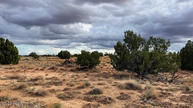 Lot 32 Snowflake Ranch Snowflake, AZ 85937 - Photo 3 of 5