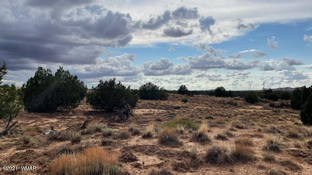 Lot 32 Snowflake Ranch Snowflake, AZ 85937 - Photo 4 of 5