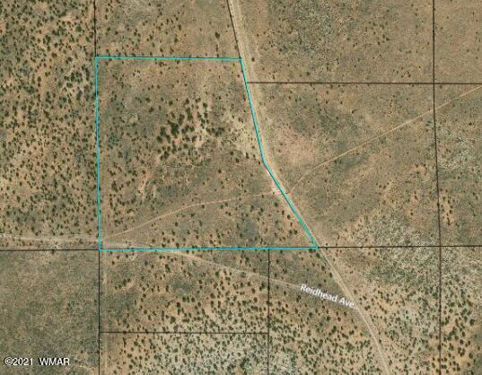 Lot 32 Snowflake Ranch Snowflake, AZ 85937 - Photo 5 of 5