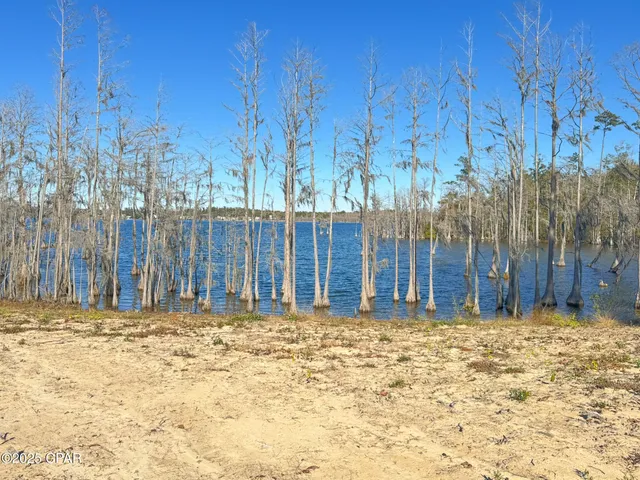 $1,200,000 | 207 Compass Lake Drive, Alford, FL 32420