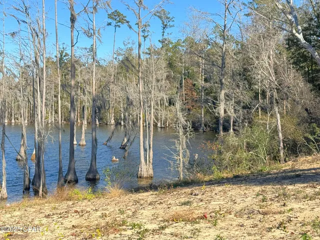 $1,200,000 | 207 Compass Lake Drive, Alford, FL 32420