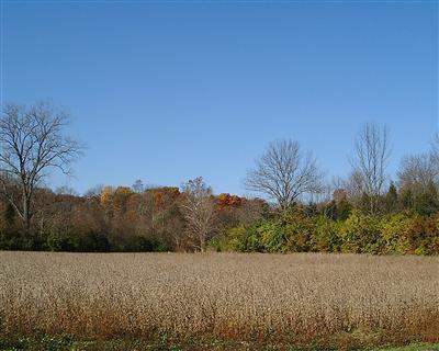 4 Browns Run Road, Unit 4 Middletown, OH 45042 - Photo 1 of 1 Gallery Image 1