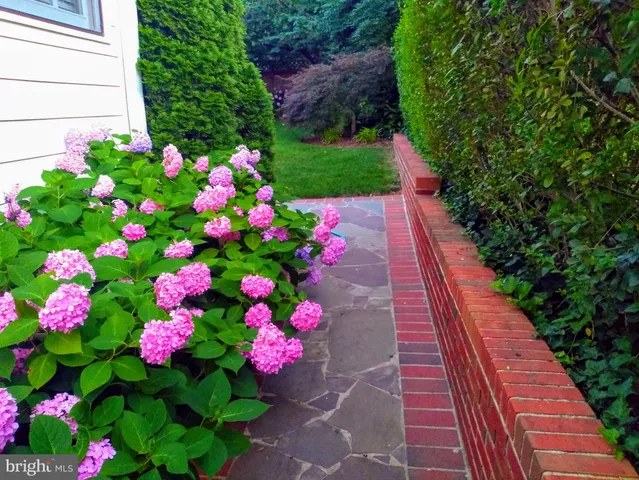 a view of a flower arrangement in backyard