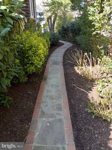 a view of a yard with plants