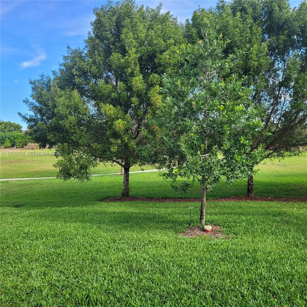 19723 Weathervane Way Loxahatchee, FL 33470 - Photo 4 of 24