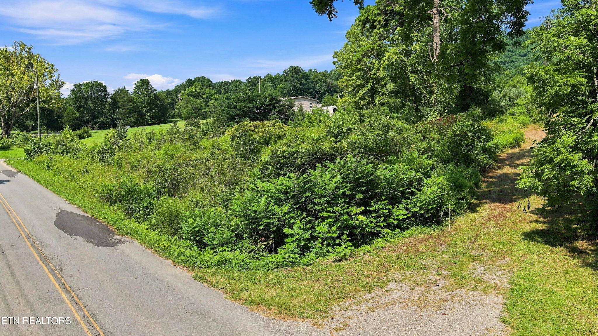 130 Beard Valley Road Maynardville, TN 37807 - Photo 6 of 24 Gallery Image 6
