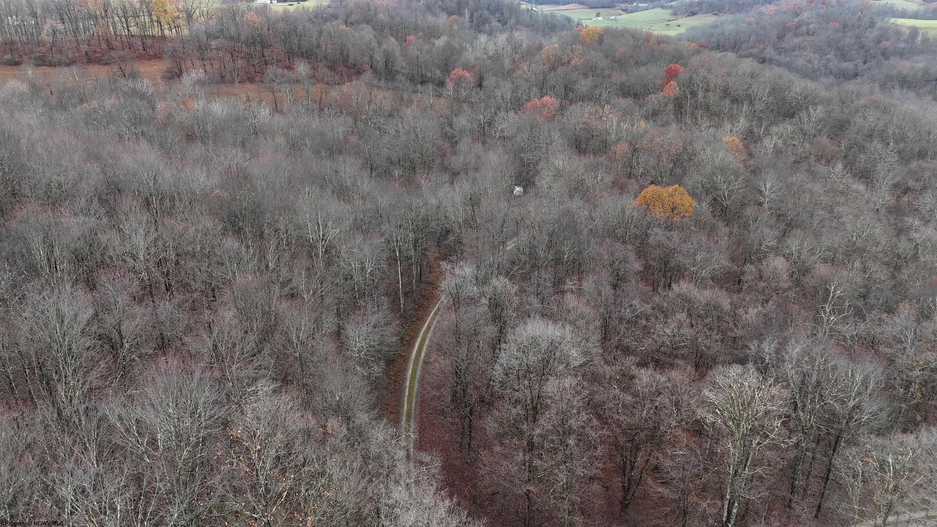 2815 Stalnaker Road Belington, WV 26250 - Photo 33 of 41 Gallery Image 33
