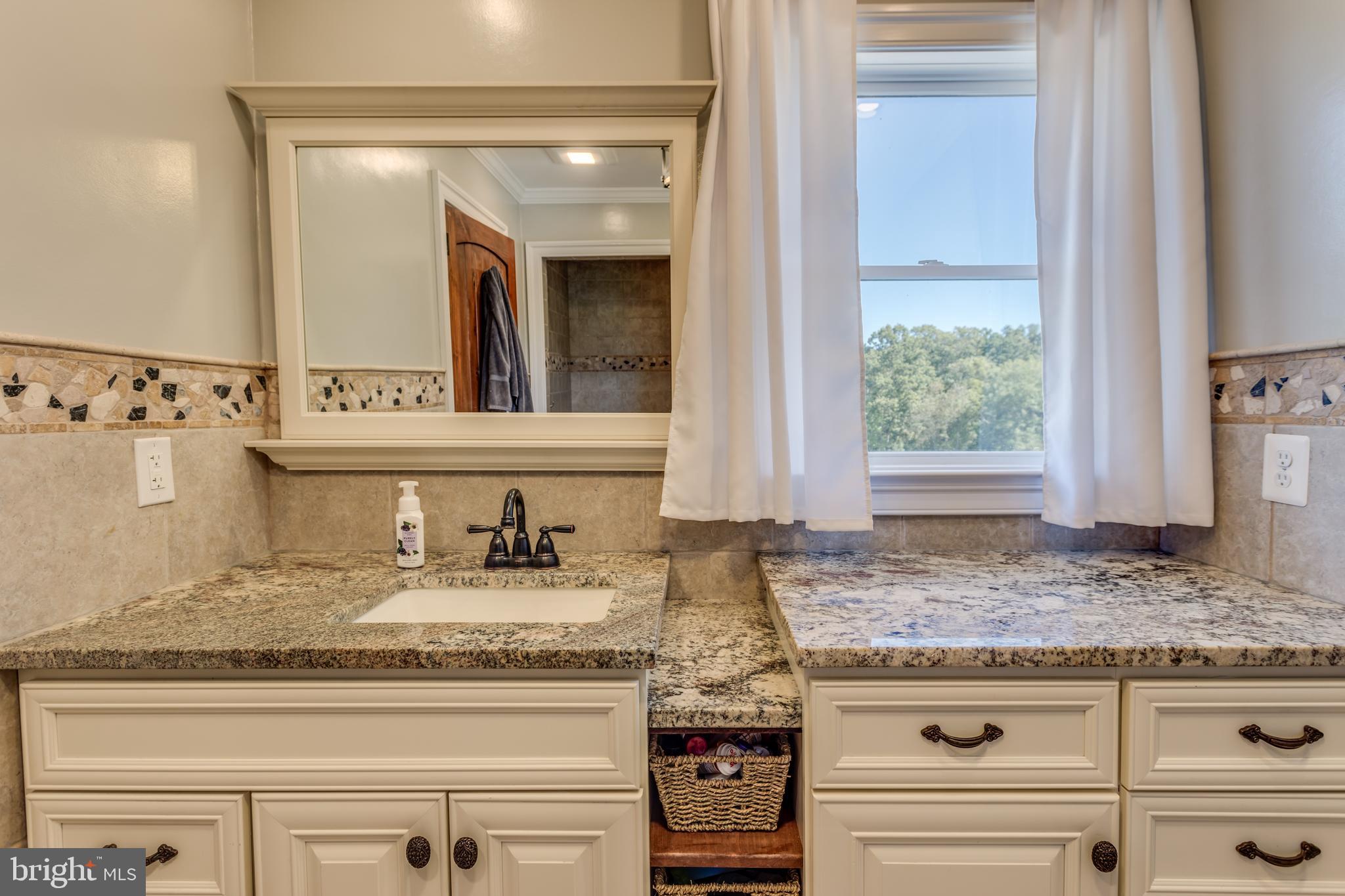 526 Middle Fork Road Cross Junction, VA 22625 - Photo 8 of 111 Master bathroom