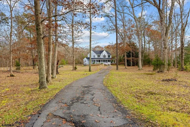 a view of yard with tree