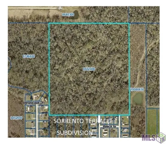 $203,000 | Tbd Oak Street, Sorrento, LA 70778