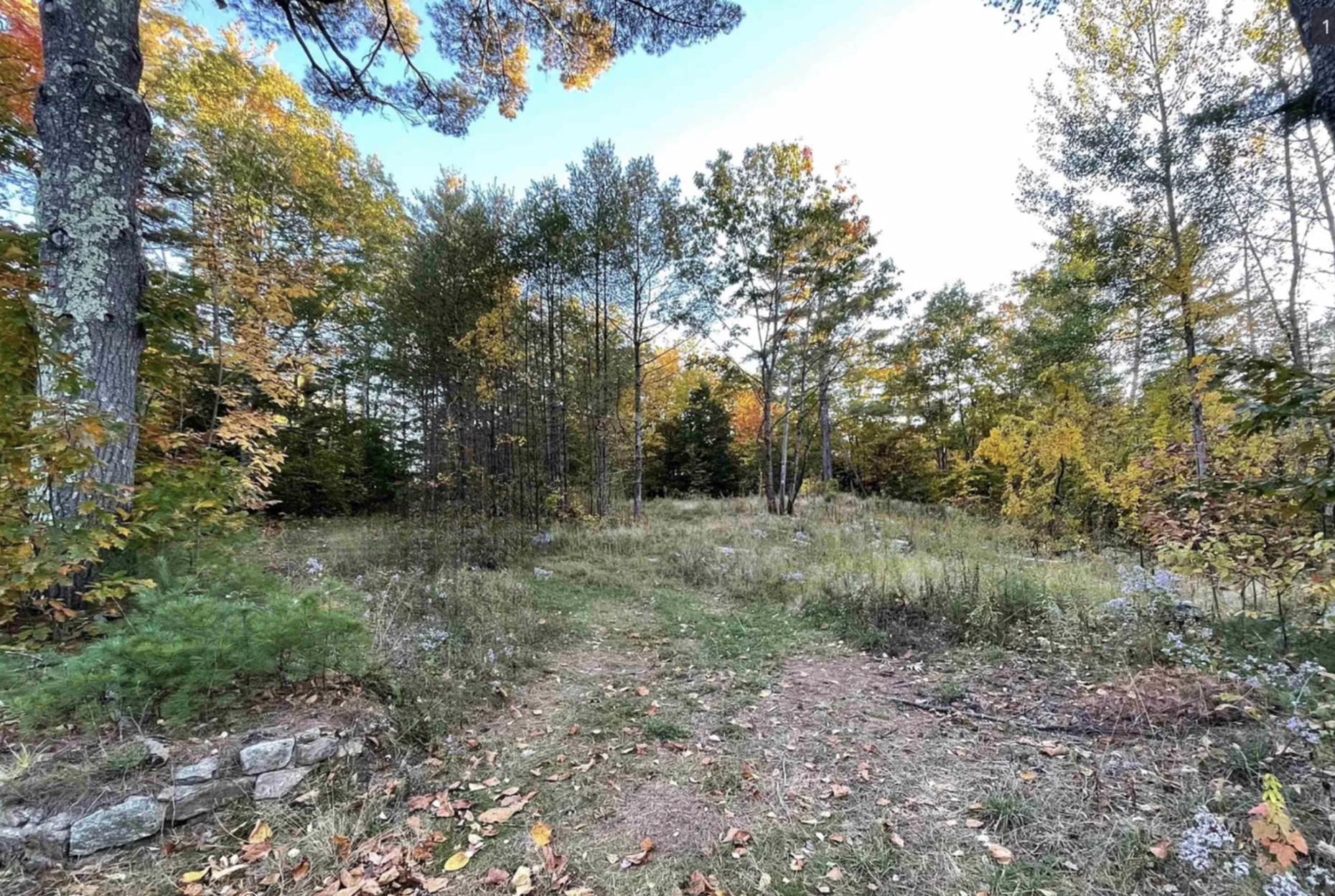 44 Jenness Hill Road Meredith, NH 03253 - Photo 3 of 27 Gallery Image 3