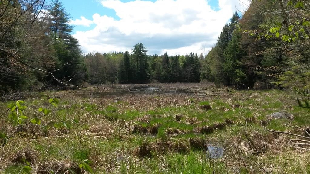 44 Jenness Hill Road Meredith, NH 03253 - Photo 9 of 27 Gallery Image 9