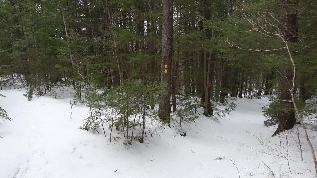 44 Jenness Hill Road Meredith, NH 03253 - Photo 10 of 27 Gallery Image 10