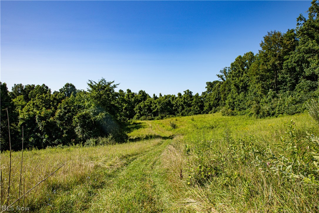 560 Wickens Road Macksburg, OH 45746 - Photo 3 of 43 Gallery Image 3